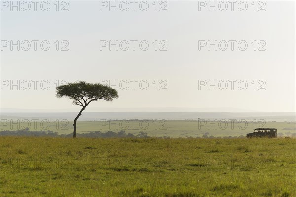 Savannah landscape with safari vehicle