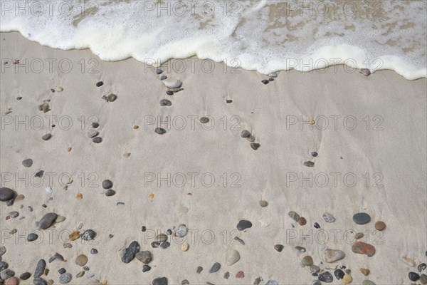 Sandy beach with pebble