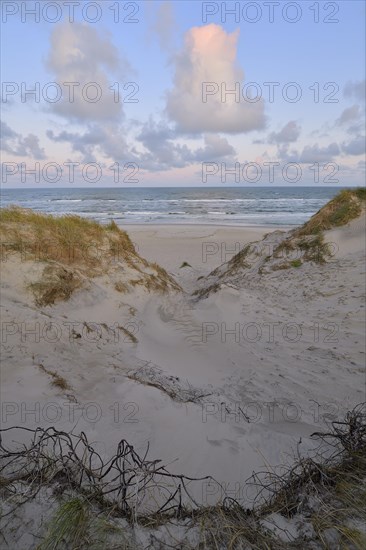 Dune landscape with the north sea in the morning