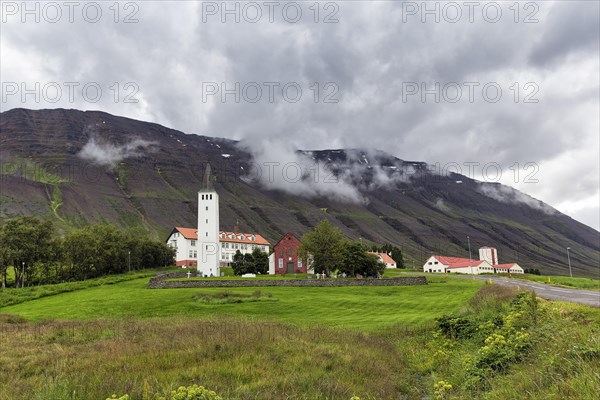 Village view with church tower in summer