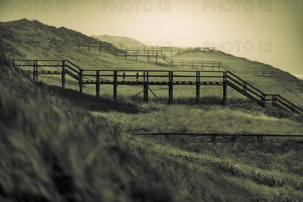 Footbridge in dune landscape