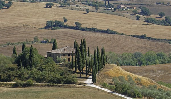 Podere Belvedere estate