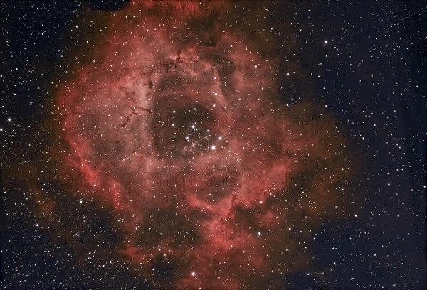 Emission Nebula NGC2244