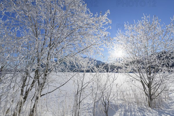 Frozen lake Barmsee with Karwendel mountainrange on morning with sun in winter