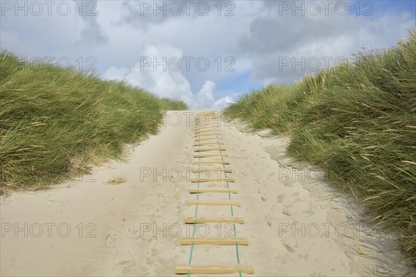 Dune landscape with sandy footpath to the sea in summer