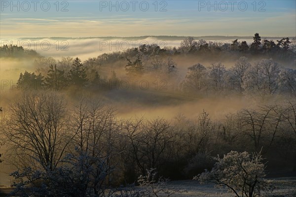 Fog in valley meadows