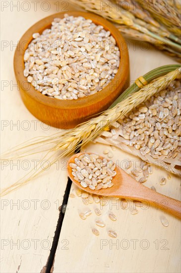 Organic wheat grains over rustic wood table macro closeup