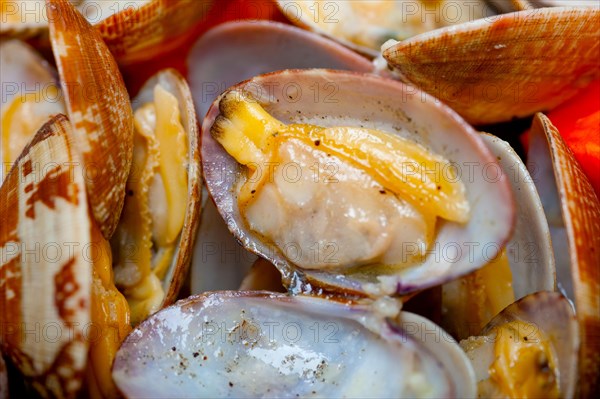 Fresh clams stewed on an iron skillet over wite rustic wood table