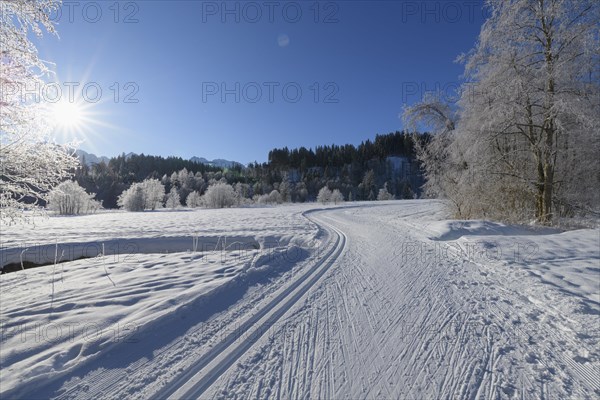 Cross country skiing track in winter landscape near lake Barmsee