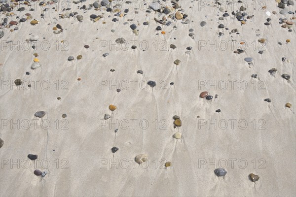 Sandy beach with pebble