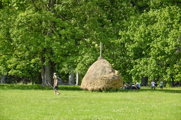 Hayloft