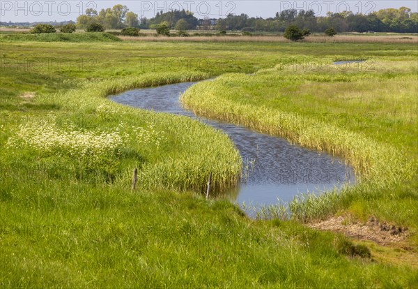 Meander shape drainage channel stream drained marshland