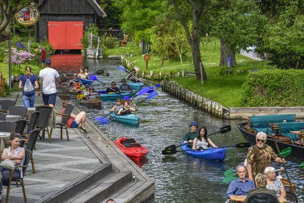 Paddle boats