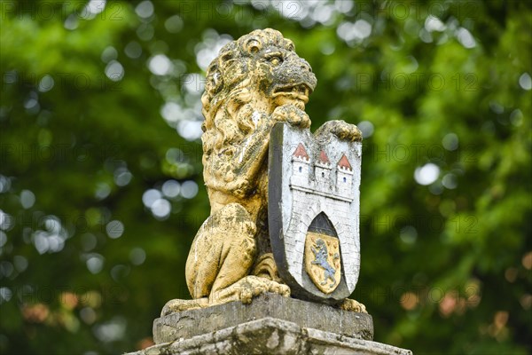 Lion with city coat of arms