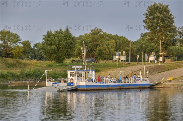 Elbe Ferry