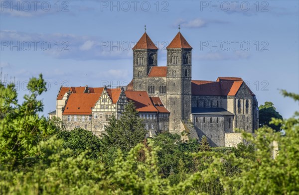 Collegiate Church