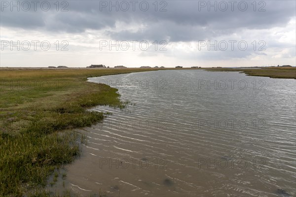 Tidal creek landscape