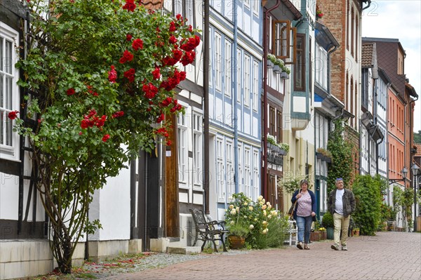 Half-timbered houses