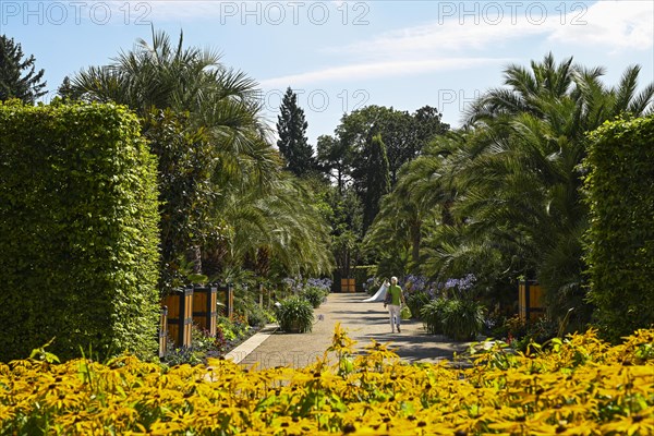 Palm Garden in the Spa Park