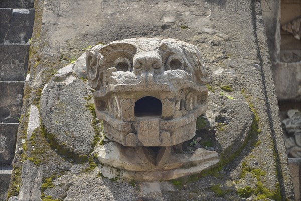 Head sculpture Temple of Quetzalcoatl