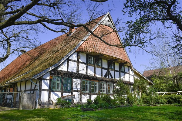 Westphalian Stork Museum