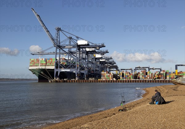 Ever Golden container ship cranes unloading