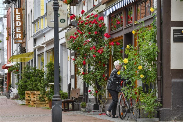 Half-timbered houses