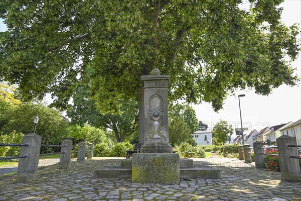 Fountain in front of the gate