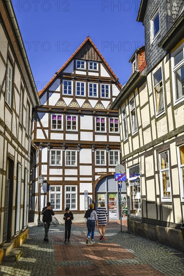 Half-timbered houses