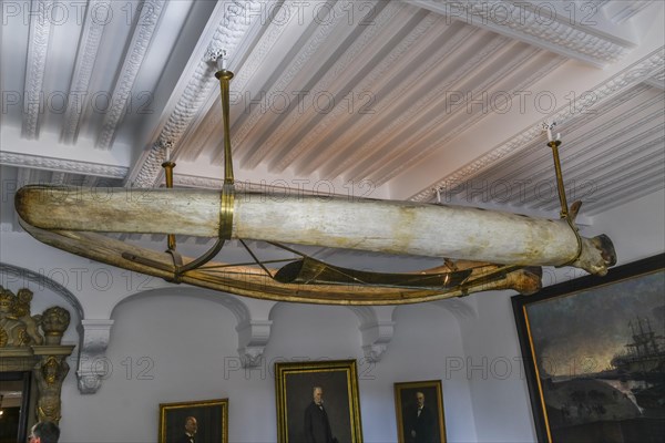 Whalebone ceiling lamp