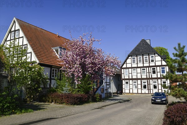 Half-timbered houses