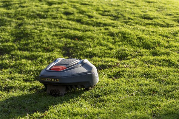 The robotic lawnmower mows the lawn
