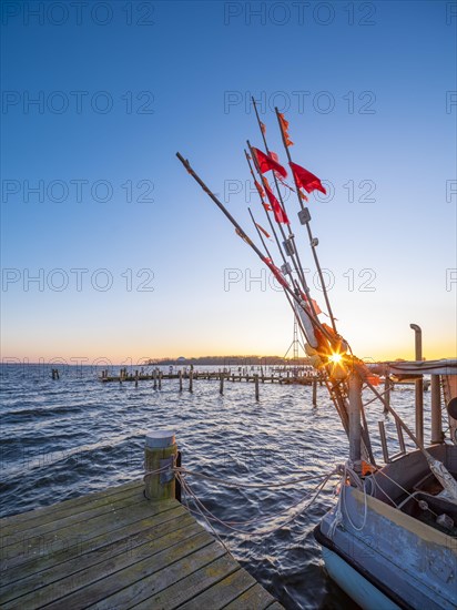 Fishing cutter in the harbour at the Salzhaff at sunset