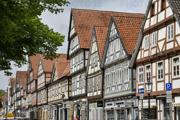 Half-timbered houses