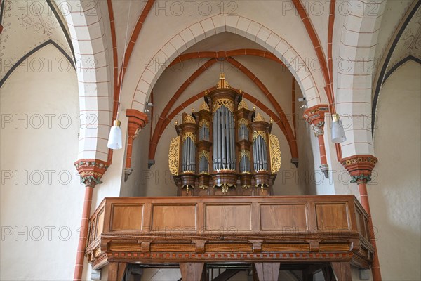 Heeren-Euler organ