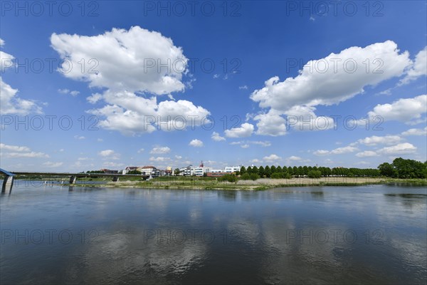 River Oder