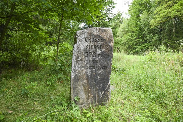 Summit stone Grosse Bloesse