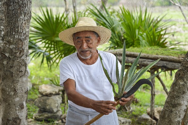 Old farmer explaining the production of sisal