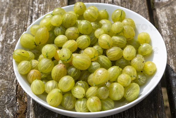 White ceramic bowl with fresh gooseberries fruit