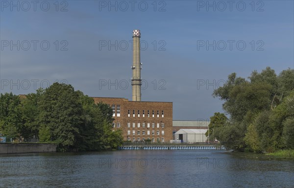 Biomass cogeneration plant