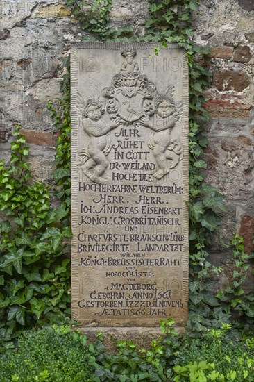 Grave Dr. Eisenbart