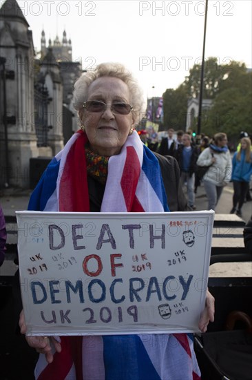 Pro-Brexit Leave means Leave protestor holding a placard