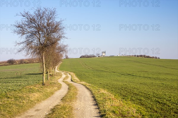 Field path to the Bockwindmuehle on the Liebschuetzberg