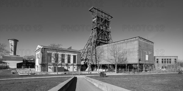 Double strut frame with machine hall in Consol Park