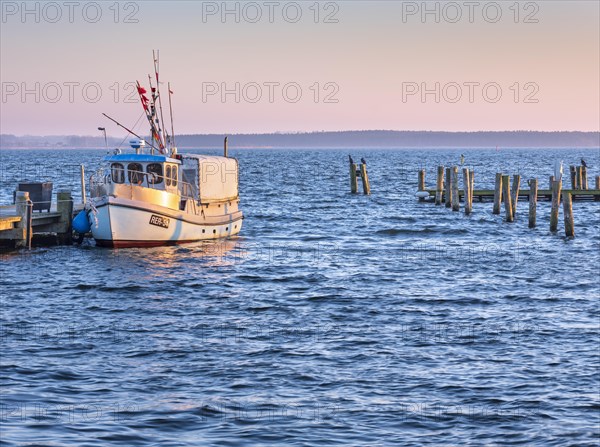 Fishing boat in the harbour at the Salzhaff in the evening light