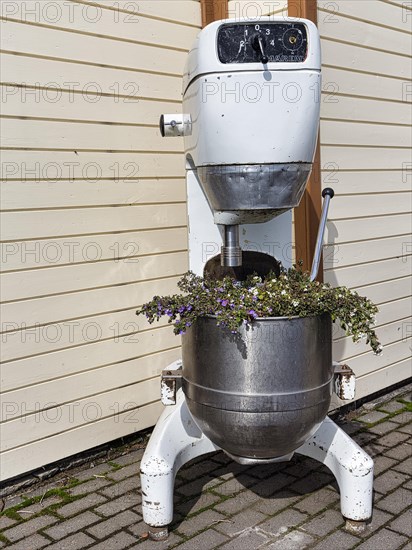 Large food processor as a flower pot