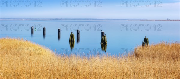 Typical Bodden landscape