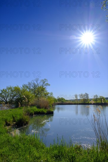 Large gate pond at Neuhaus moated castle