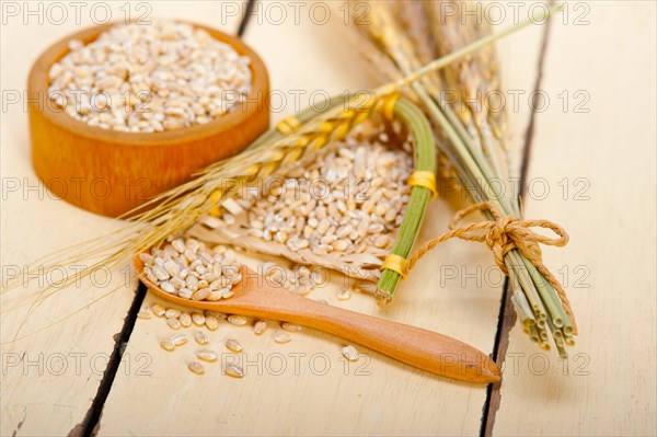 Organic wheat grains over rustic wood table macro closeup