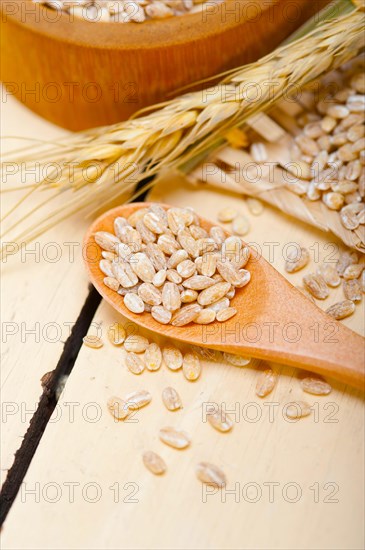 Organic barley grains over rustic wood table macro closeup